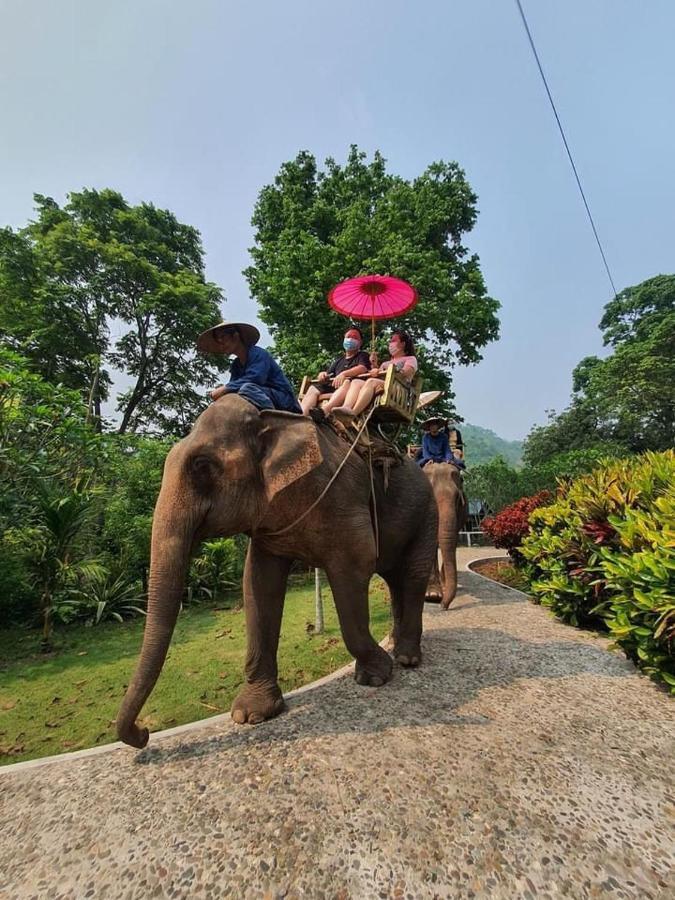 Luxury Camp@Green Jungle Park Villa Luang Prabang Dış mekan fotoğraf