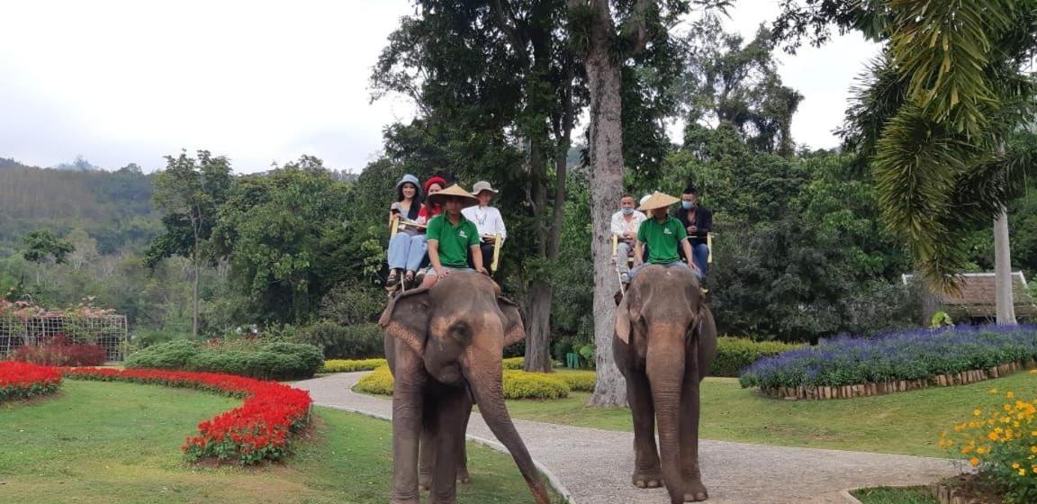 Luxury Camp@Green Jungle Park Villa Luang Prabang Dış mekan fotoğraf