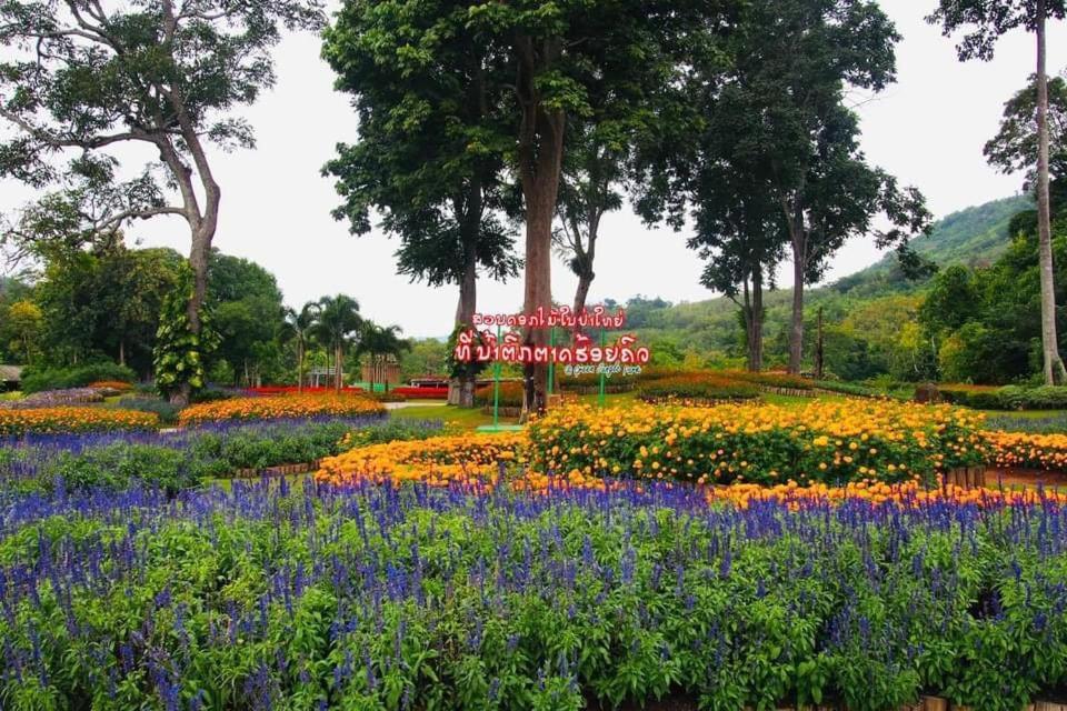 Luxury Camp@Green Jungle Park Villa Luang Prabang Dış mekan fotoğraf