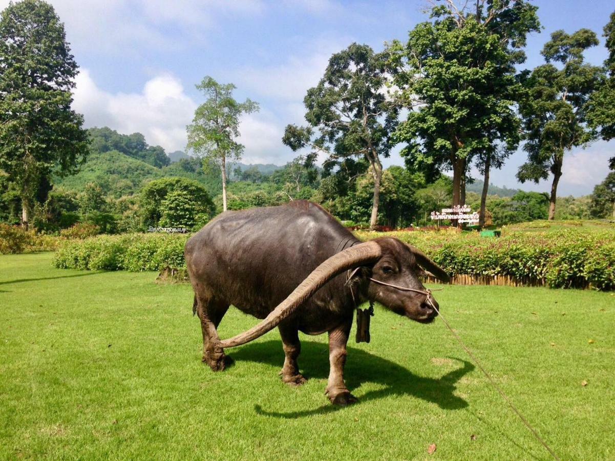 Luxury Camp@Green Jungle Park Villa Luang Prabang Dış mekan fotoğraf